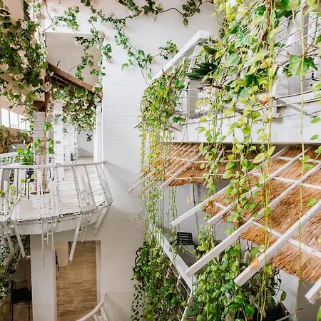 酒店 海吉纳spa度假村 4*